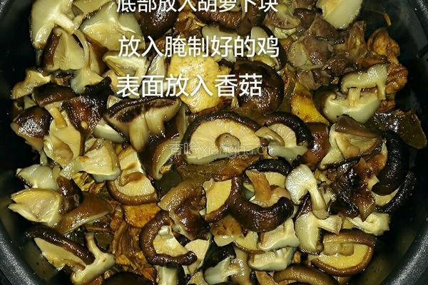 电高压锅无水炖鸡的做法图解6