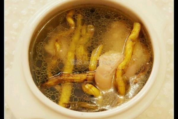 石斛虫草花鸡汤的做法图解4