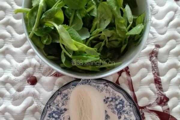 豌豆尖粉丝汤的做法图解1