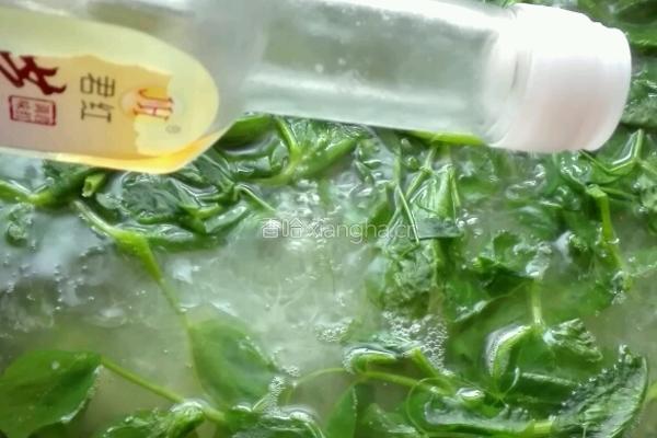 豌豆尖粉丝汤的做法图解8