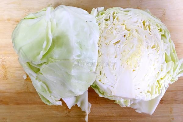 圆白菜猪肉水饺的做法图解10