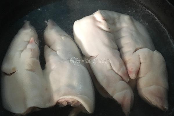 虫草花猪脚汤的做法图解4