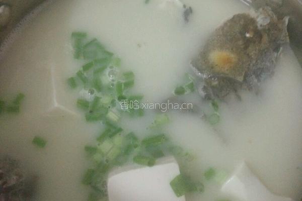 鲫鱼豆腐汤的做法图解4