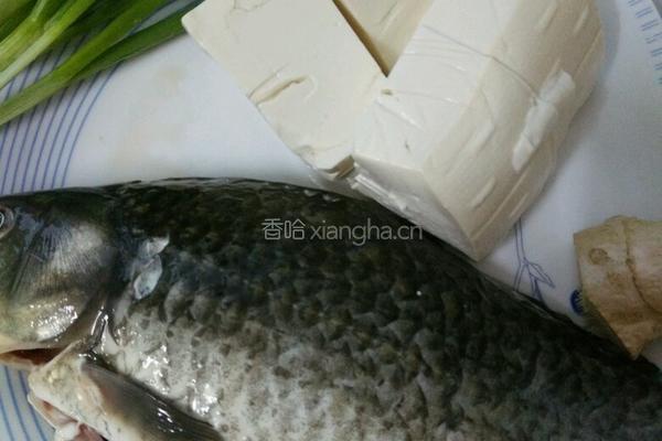 鲫鱼豆腐汤的做法图解1