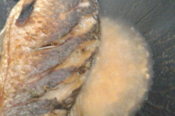 鲫鱼冻豆腐汤的做法图解6