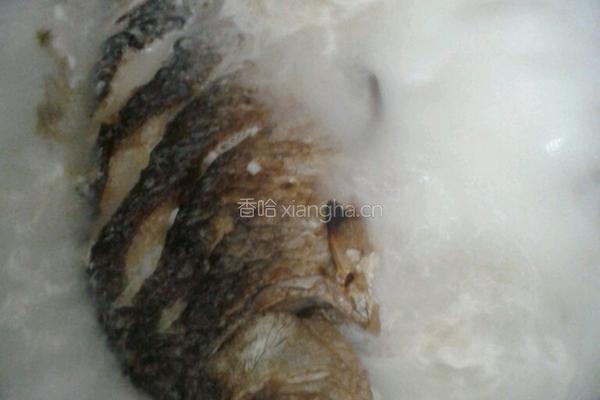 鲫鱼冻豆腐汤的做法图解8