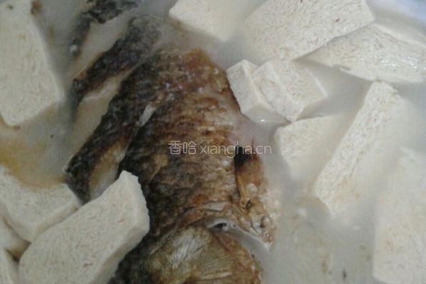 鲫鱼冻豆腐汤的做法图解9