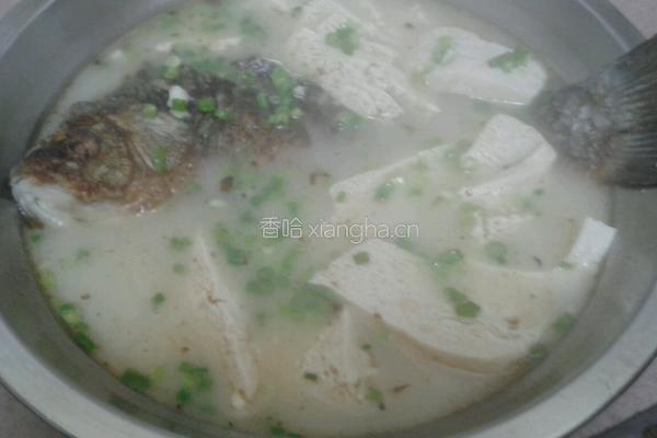 鲫鱼冻豆腐汤的做法图解11
