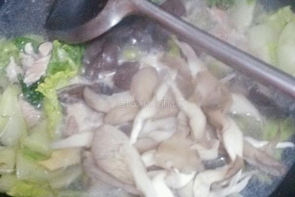 平菇白菜鸡血汤的做法图解9