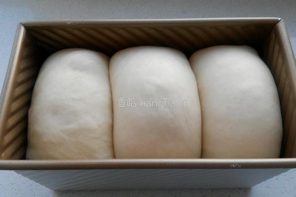 玉米油山峰土司的做法图解8