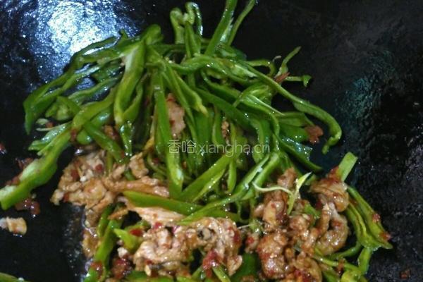 青椒炒肉的做法图解5