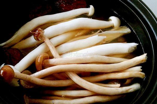 野生菌汤的做法图解6
