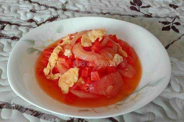 胡萝卜番茄炒鸡蛋