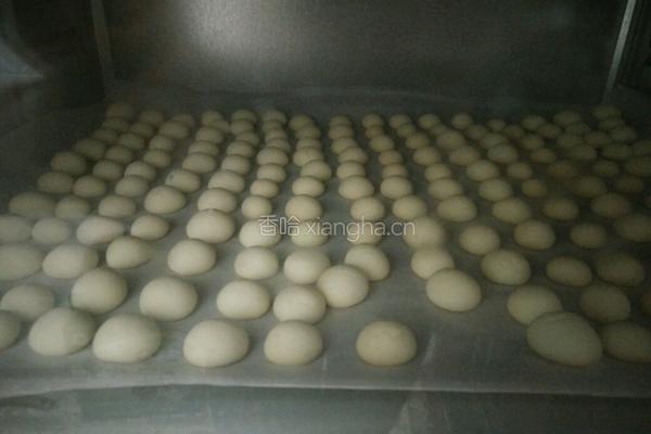 菠萝豆的做法图解9