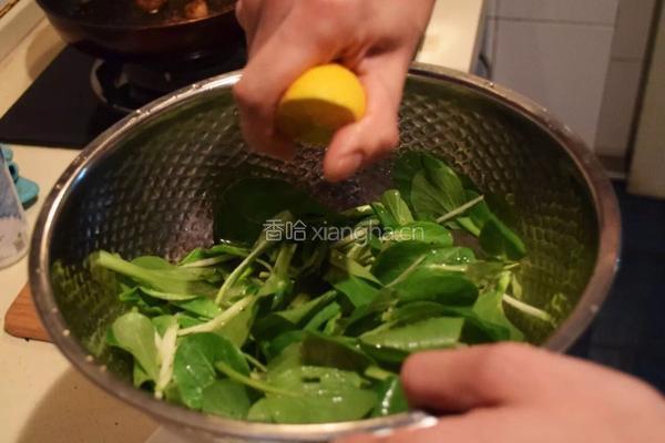 香煎瑶柱配青苹果菠菜苗沙拉的做法图解5