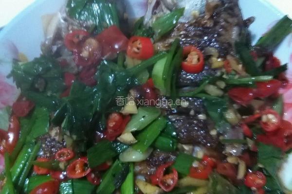 香煎鲫鱼