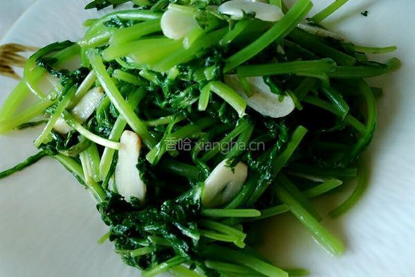 蒜香蒿菜的做法图解6