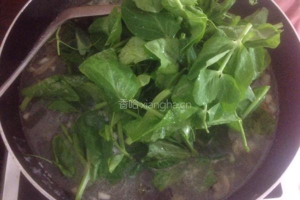上汤豆苗的做法图解8