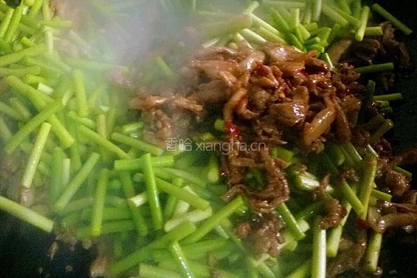蒜苔肉丝的做法图解6
