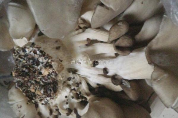 椒盐蘑菇的做法图解1