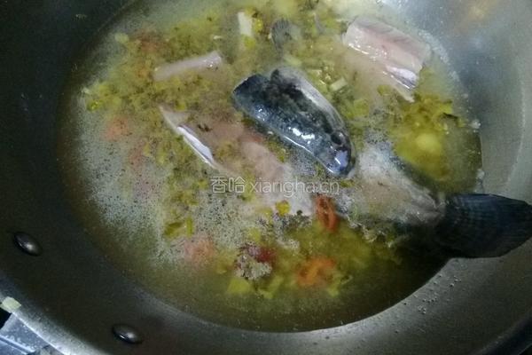 酸菜豆腐鱼的做法图解11