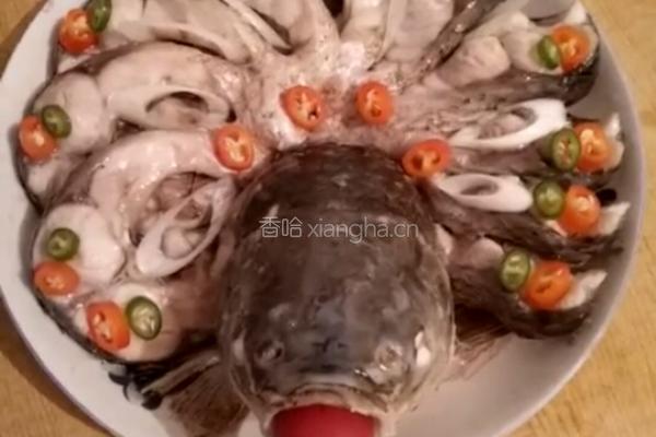 孔雀开屏的做法图解6