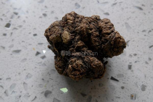 川芎白果煲鸡汤的做法图解6