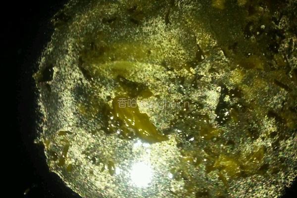 酸菜猪肝汤面的做法图解4