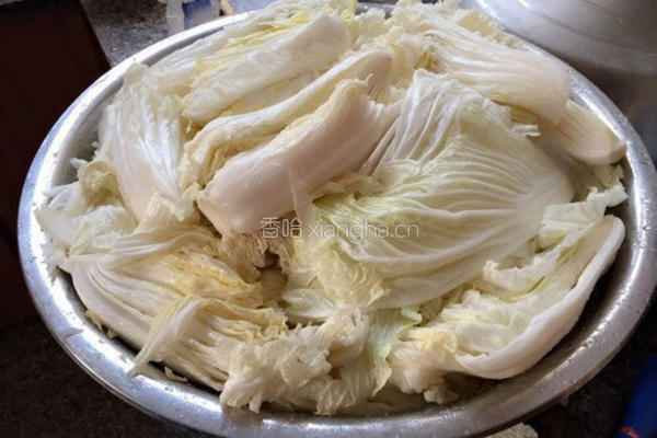 韩国泡菜的做法图解2