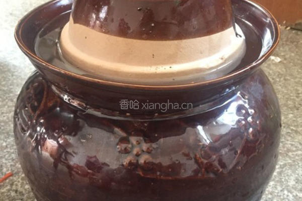韩国泡菜的做法图解11