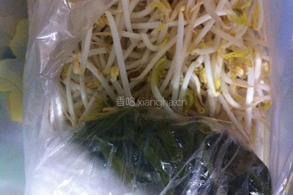 豆芽凉拌菜的做法图解2