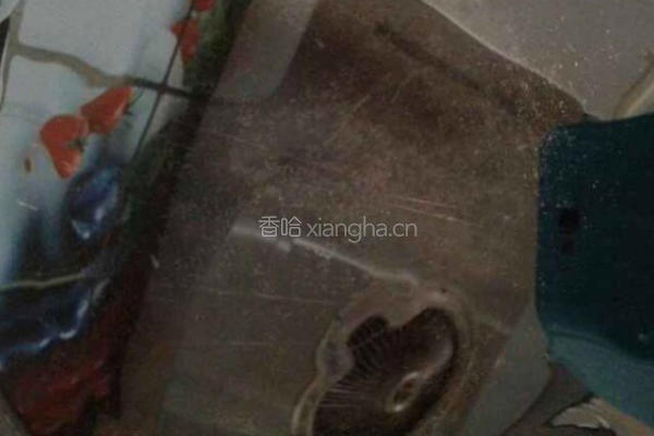 锅贴的做法图解5