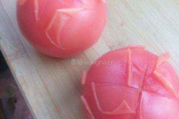 西红柿炖牛腩的做法图解2