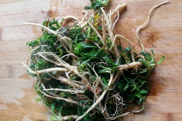 野生荠荠菜炒鸡蛋的做法图解2