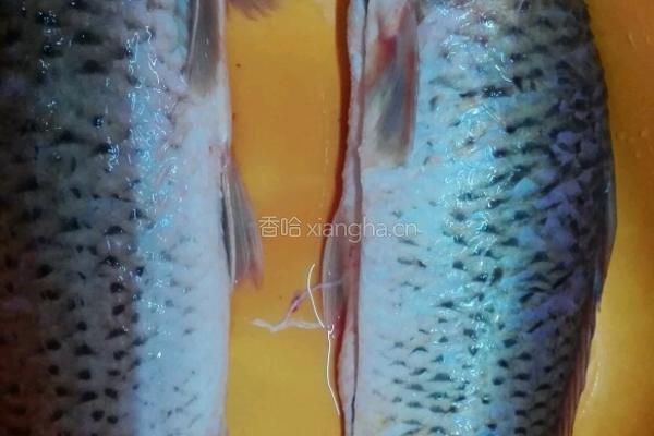 糖醋鲤鱼的做法图解1