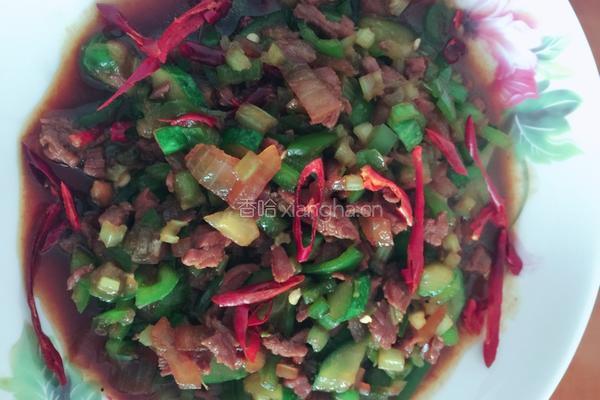 袁氏牛肉下饭菜的做法图解9