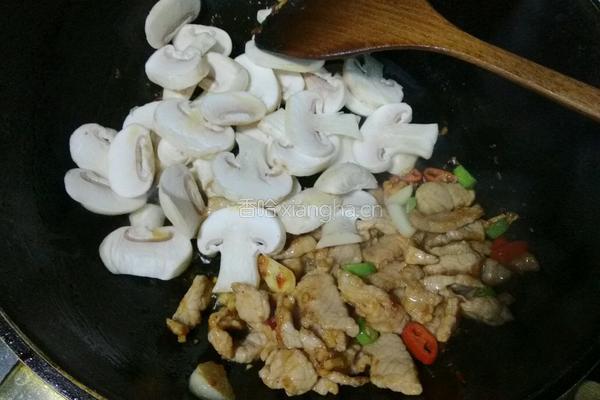 蘑菇炒肉片的做法图解8