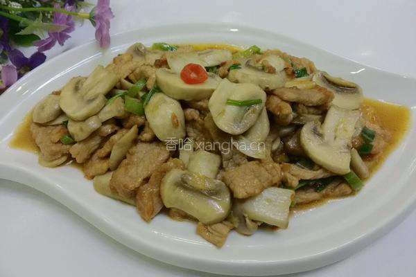 蘑菇炒肉片的做法图解11