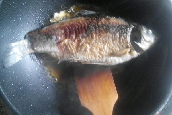 鲫鱼炖豆腐的做法图解1