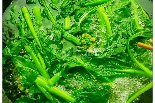油淋菜心的做法图解4