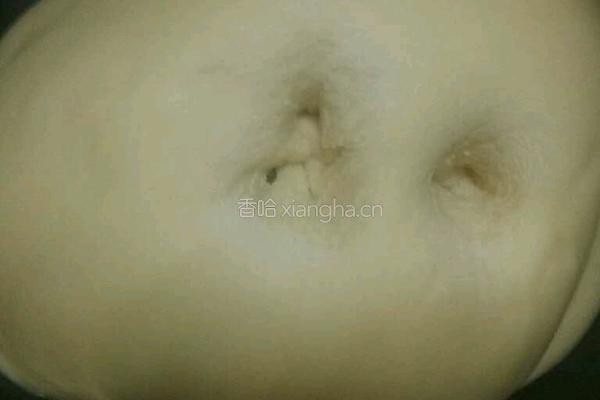 毛毛虫面包的做法图解4