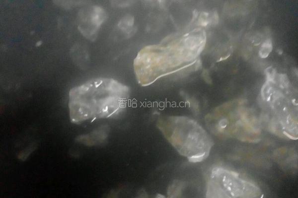 冰糖葫芦的做法图解4