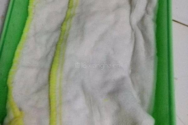 豌豆苗（自己培育的）的做法图解3