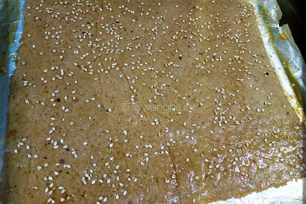蜜汁猪肉脯（微辣）的做法图解13