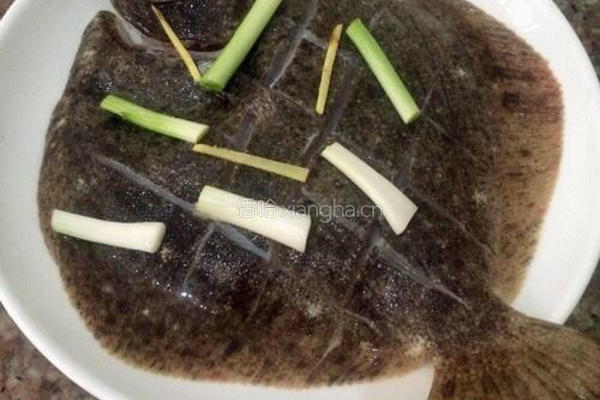 清蒸多宝鱼的做法图解5