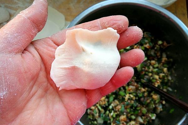 四鲜馅饺子的做法图解8