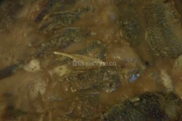 鲫鱼烧咸菜头的做法图解10