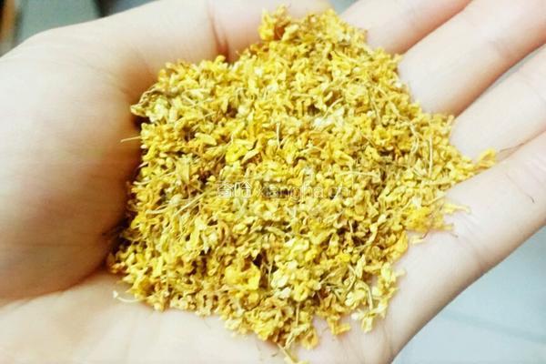 桂花雪梨膏的做法图解3