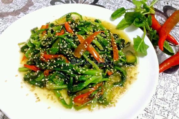 芝麻菠菜的做法图解6