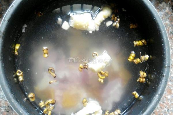 花胶响螺猪肉汤的做法图解5